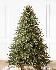 Classic Blue Spruce® Trees