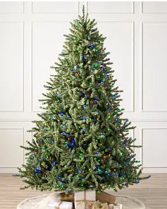 Classic Blue Spruce® Trees