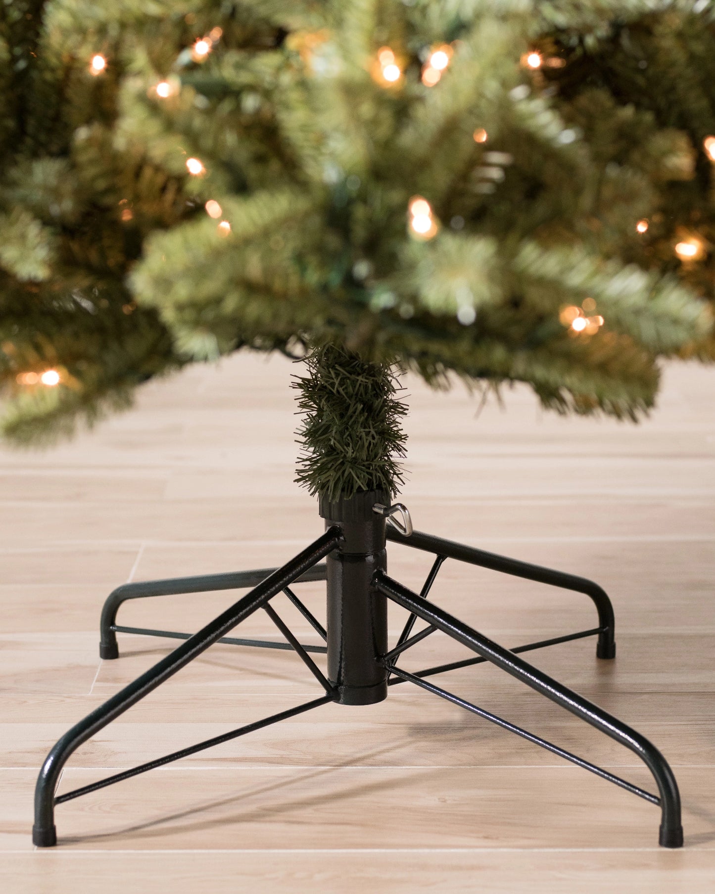 Classic Blue Spruce® Trees